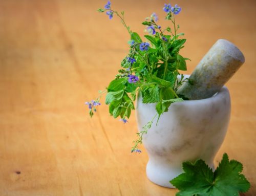 21 Herbs to Beat Chronic Lyme Disease